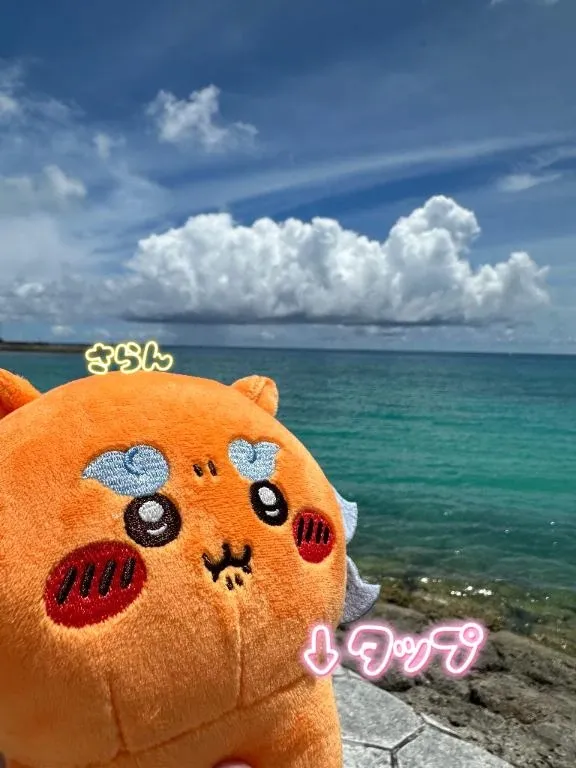 写メ日記 さらん 2/2(月) 14:43