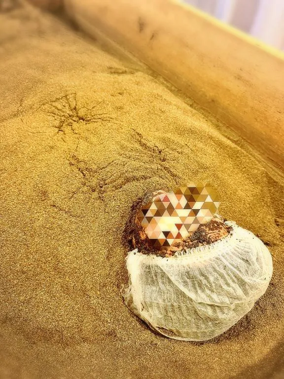 写メ日記 ねね 3/1(日) 12:23