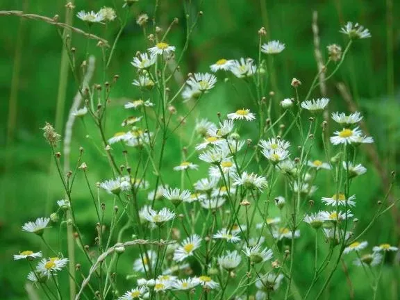 写メ日記 じゅんな 4/20(月) 13:03