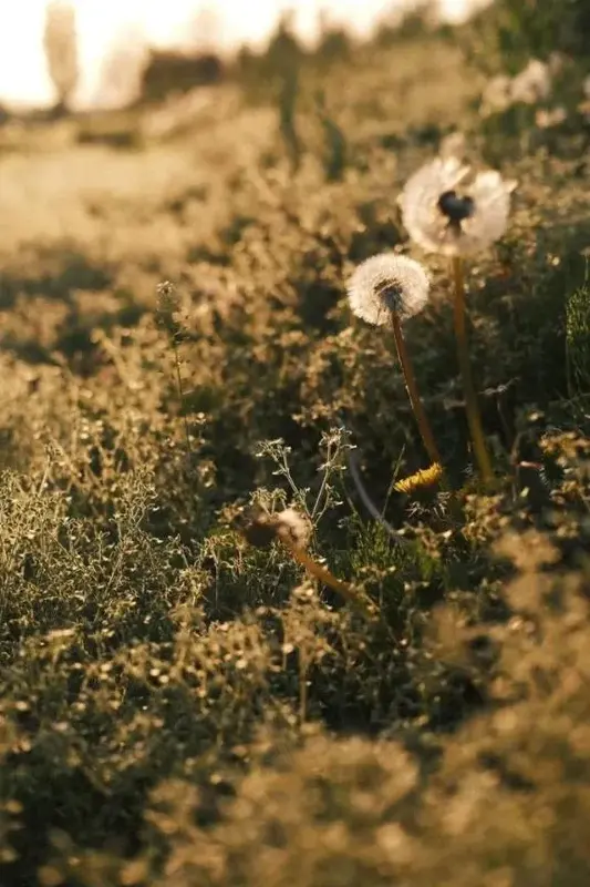 写メ日記 じゅんな 4/21(火) 17:03