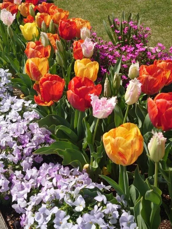 写メ日記 ゆら 3/30(月) 11:03