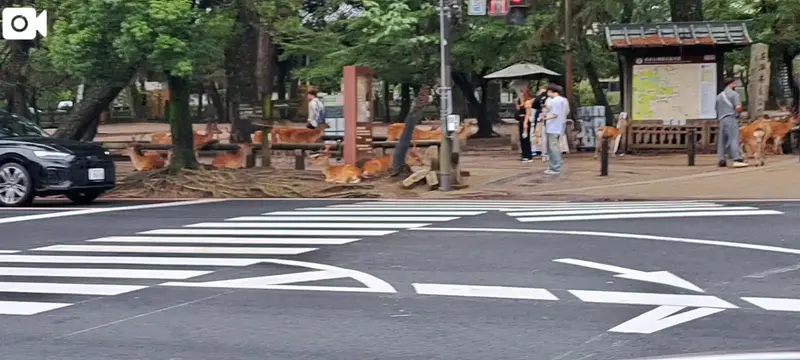 写メ日記 まつり 7/8(水) 13:53