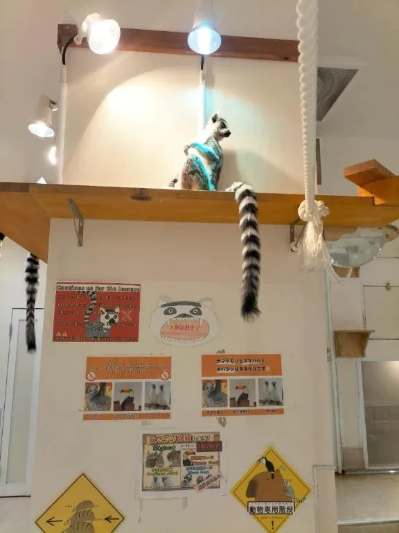 写メ日記 アンナ 4/11(土) 09:41