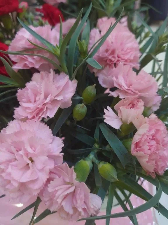 写メ日記 ゆず 5/1(金) 19:51