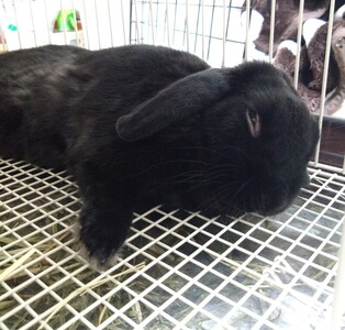 写メ日記 篠原尚美 9/27(土) 13:26