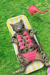 写メ日記 つかさ 9/29(月) 00:27