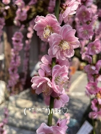 写メ日記 すみ 9/30(火) 06:44