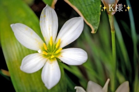 写メ日記 小山真帆 9/30(火) 16:32