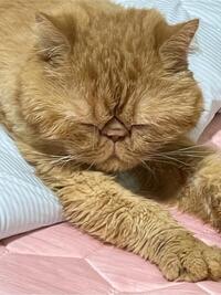 写メ日記 ふじこ 9/30(火) 16:50