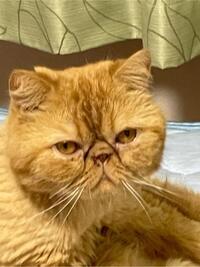 写メ日記 ふじこ 9/30(火) 16:54