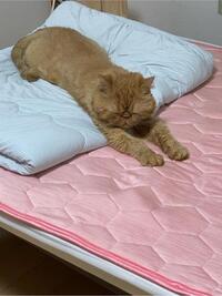 写メ日記 ふじこ 9/30(火) 16:56