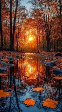 写メ日記 ともこ 9/30(火) 18:14