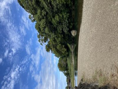 写メ日記 みき 10/1(水) 07:10