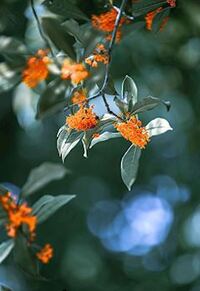 写メ日記 ともこ 10/1(水) 10:06