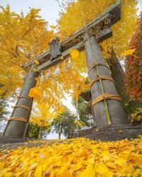 写メ日記 つかさ 10/3(金) 00:27