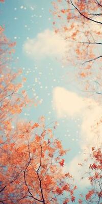 写メ日記 ともこ 10/3(金) 10:01