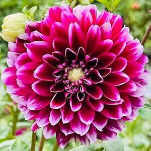 写メ日記 えま 10/3(金) 12:32