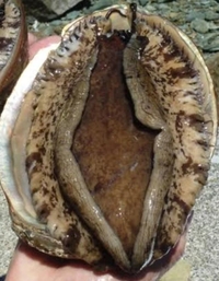 写メ日記 さえこ 10/3(金) 13:34