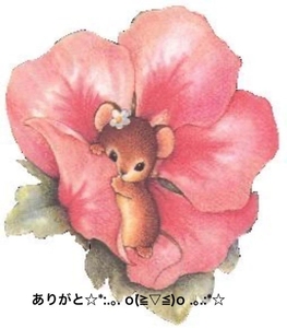 写メ日記 すみ 10/3(金) 14:44