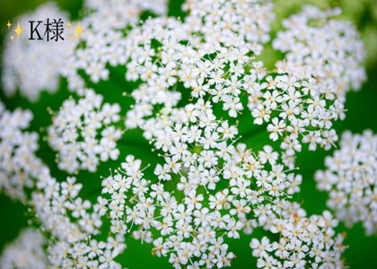 写メ日記 小山真帆 10/4(土) 20:22