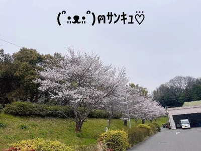 写メ日記 すみ 10/4(土) 22:14