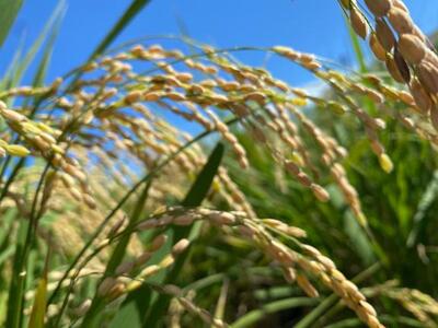 写メ日記 えま 10/6(月) 13:53