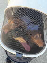 写メ日記 あやの 10/7(火) 20:59