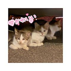 写メ日記 まみ 10/9(木) 18:09