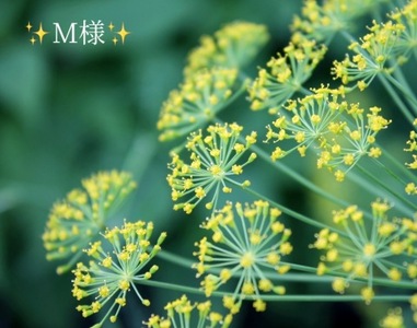 写メ日記 小山真帆 10/9(木) 19:18