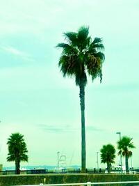 写メ日記 えま 10/10(金) 03:21