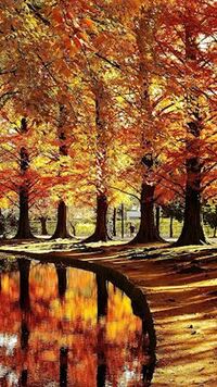 写メ日記 ともこ 10/10(金) 10:08