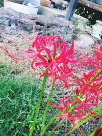 写メ日記 しゅら 10/11(土) 08:44