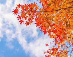 写メ日記 矢田（やだ） 10/11(土) 09:20