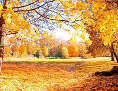 写メ日記 矢田（やだ） 10/11(土) 12:59