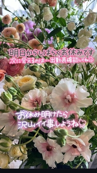 写メ日記 せいら 10/11(土) 14:53