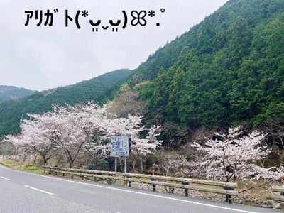 写メ日記 すみ 10/11(土) 17:24