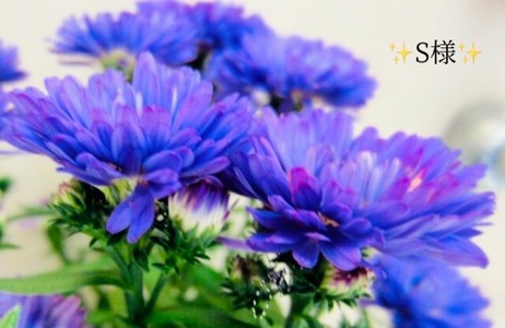 写メ日記 小山真帆 10/11(土) 19:42