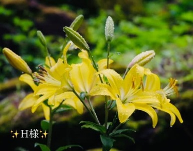 写メ日記 小山真帆 10/11(土) 21:42