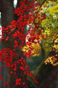 写メ日記 ともこ 10/13(月) 10:06