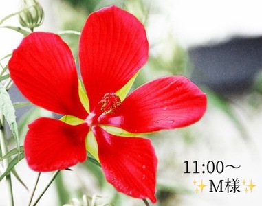 写メ日記 小山真帆 10/13(月) 18:26