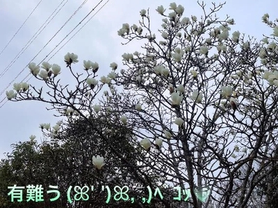 写メ日記 すみ 10/13(月) 23:04