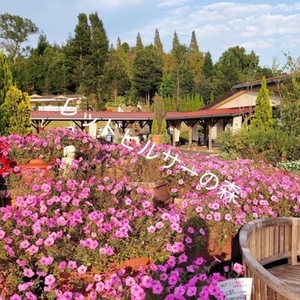 写メ日記 しゅら 10/14(火) 12:34