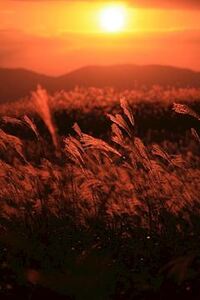 写メ日記 ともこ 10/14(火) 18:12