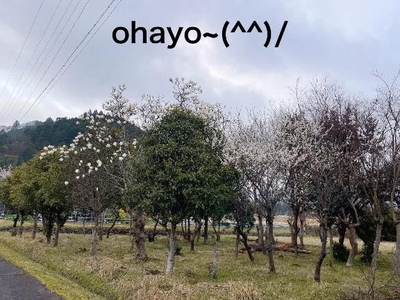 写メ日記 すみ 10/15(水) 06:29