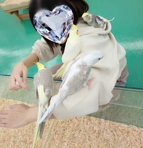 写メ日記 さや 10/15(水) 09:55