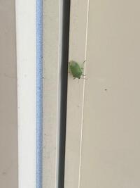 写メ日記 えま 10/15(水) 16:31