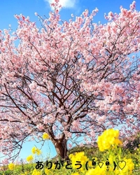 写メ日記 すみ 10/15(水) 21:04