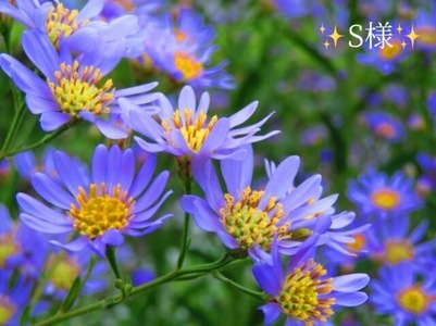 写メ日記 小山真帆 10/16(木) 21:06