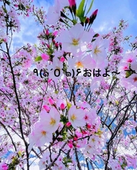 写メ日記 すみ 10/19(日) 06:34