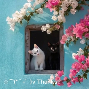 写メ日記 すみ 10/19(日) 16:34